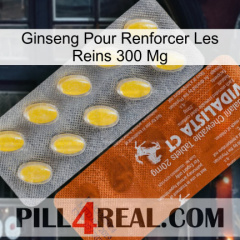 Ginseng For Reinforcing Kidney 300 Mg 42